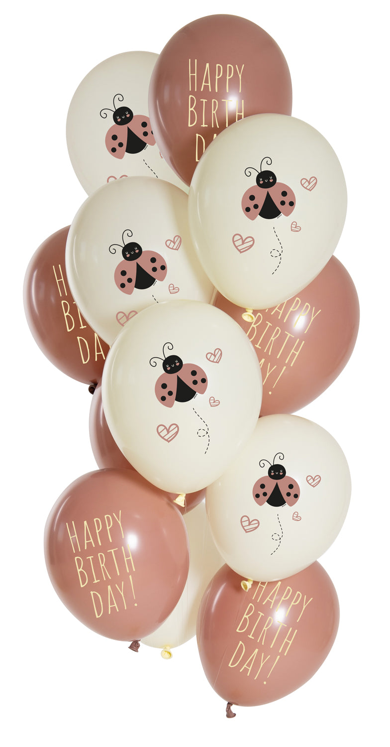 Ballonger Nyckelpiga, 12-pack
