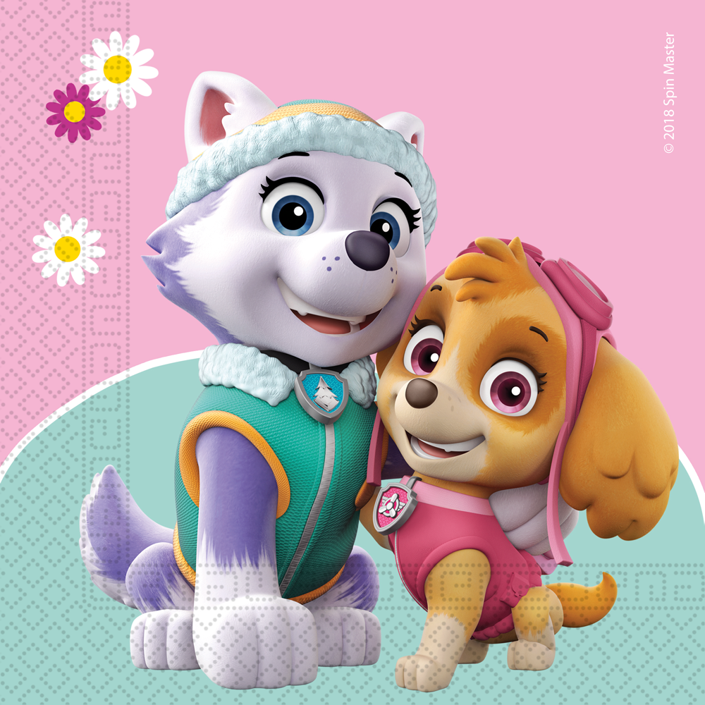 Paw Patrol Sky & Everest, Servetter 20-pack