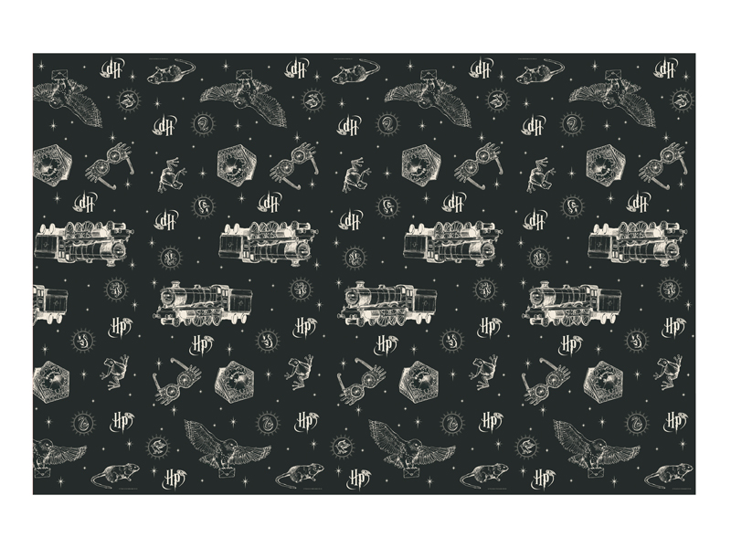  Svart Harry Potter-bordsduk 180 × 120 cm med Hogwarts Express, ugglor och beige motiv till barnkalas och Harry Potter-kalas